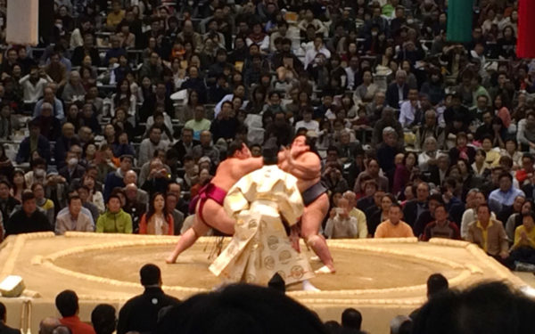 大相撲 大阪場所 三月場所 大阪府立体育館　2016年 宿舎一覧 朝稽古見学 春場所 琴奨菊 白鵬 相撲部屋 関取 練習 合宿場所 宿泊