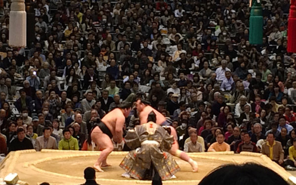 大相撲 春巡業 2016年 平成28年 スケジュール 日程 会場 チケット 入場料