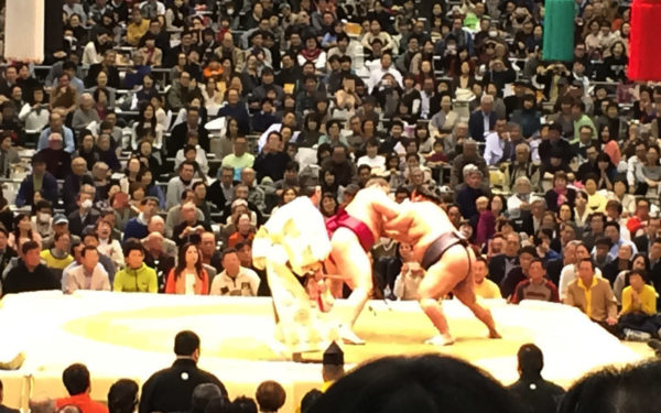 大相撲 夏巡業 2016年 平成28年 スケジュール 日程 会場 チケット 入場料