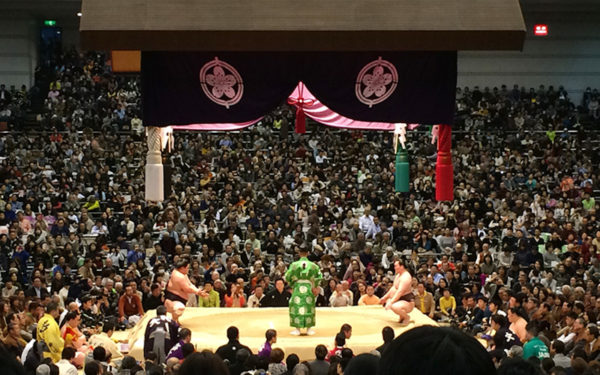 大相撲 大阪場所 三月場所 春場所 大阪府立体育館 エディオンアリーナ大阪 相撲茶屋 大阪相撲案内所 チケット発売 先行 抽選