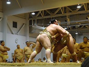 大相撲 巡業 スケジュール 一日の流れ 春春巡業 力士 宿 宿泊先 関取 横綱