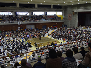 大相撲 巡業 スケジュール 一日の流れ 春春巡業 力士 宿 宿泊先 関取 横綱