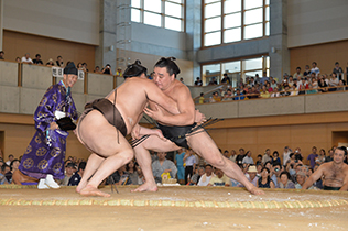 大相撲 巡業 スケジュール 一日の流れ 春春巡業 力士 宿 宿泊先 関取 横綱