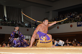 大相撲 巡業 スケジュール 一日の流れ 春春巡業 力士 宿 宿泊先 関取 横綱