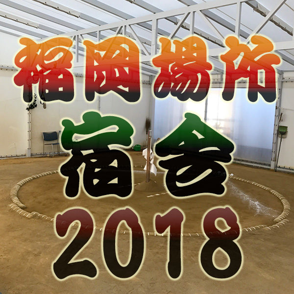 大相撲 11月場所 九州場所 福岡国際センター 2018年 平成30年 宿舎一覧 朝稽古見学 白鵬 稀勢の里 相撲部屋 関取 練習 合宿場所 宿泊